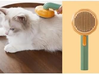 Bal Kabağı Tasarımlı Otomatik Temizlenen Tuşlu Evcil Hayvan Fırçası Kedi Köpek Tüy Toplayıcı Tarak