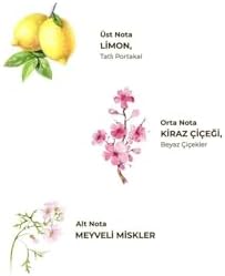 Alternative view of 1lt Kiraz Çiçeği Kolonyası Kilit Kapaklı