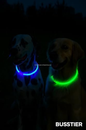 Işıklı Köpek Tasması, USB Şarjlı, LED Evcil Hayvan Güvenlik Tasma, Su Geçirmez, Kesilebilir, Ayarlanabilir Boyunluk, Köpek ve Kedi İçin, Gece Görünürlük Artırıcı (Mavi, 44 Cm)