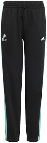 MERCEDES - AMG PETRONAS FORMULA 1 TEAM DNA PANT