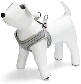 Alternative view of Köpek Göğüs Tasması, Neopren, Yeşil, M, 41-46cm