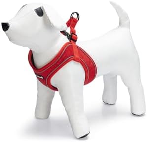 Köpek Göğüs Tasması, Neopren, Kırmızı, M, 41-46cm
