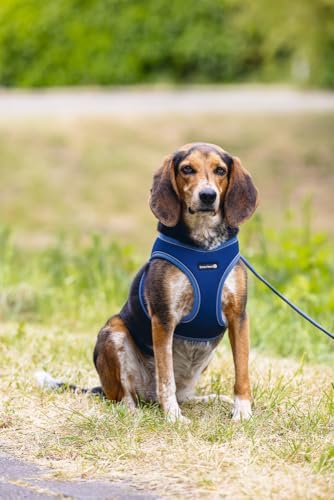 Köpek Göğüs Tasması, Neopren, Mavi, M, 41-46cm
