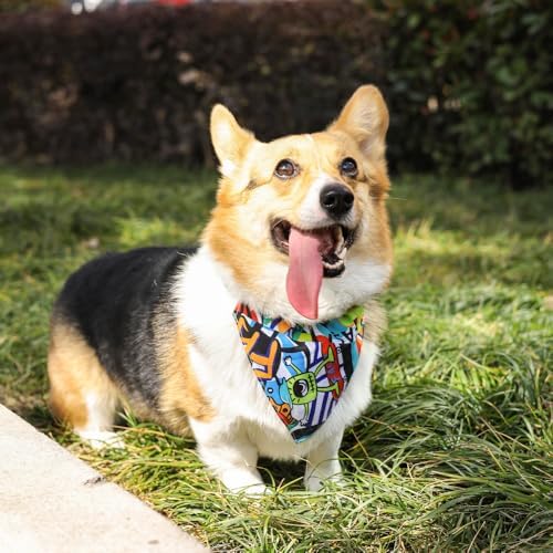 URBAN STYLE FREESTYLE BANDANA COLLAR (M)