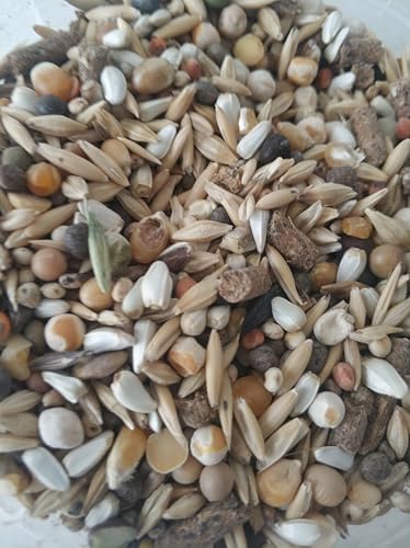 Alternative view of GoldMind Mix Kemirgen Yemi, Chinchilla, Hamster, Tavşan ve Guinea Pig için 16 Çeşit Tahıl Karışımı (1 Kg)