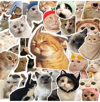 100'Li Çılgın Kedi Set Laptop Notebook Tablet Seti