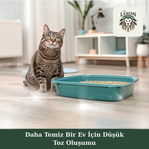 Doğal Çam Peleti Kedi Kumu 5 Kg (10L) Yavru/Yetişkin Kediler ve Kemirgen Hayvanlar için%100 Biyobozunur - Astımlı ve Alerjik Kediler için Uygun - Kimyasal İçermeyen - Yüksek Emiş Gücü