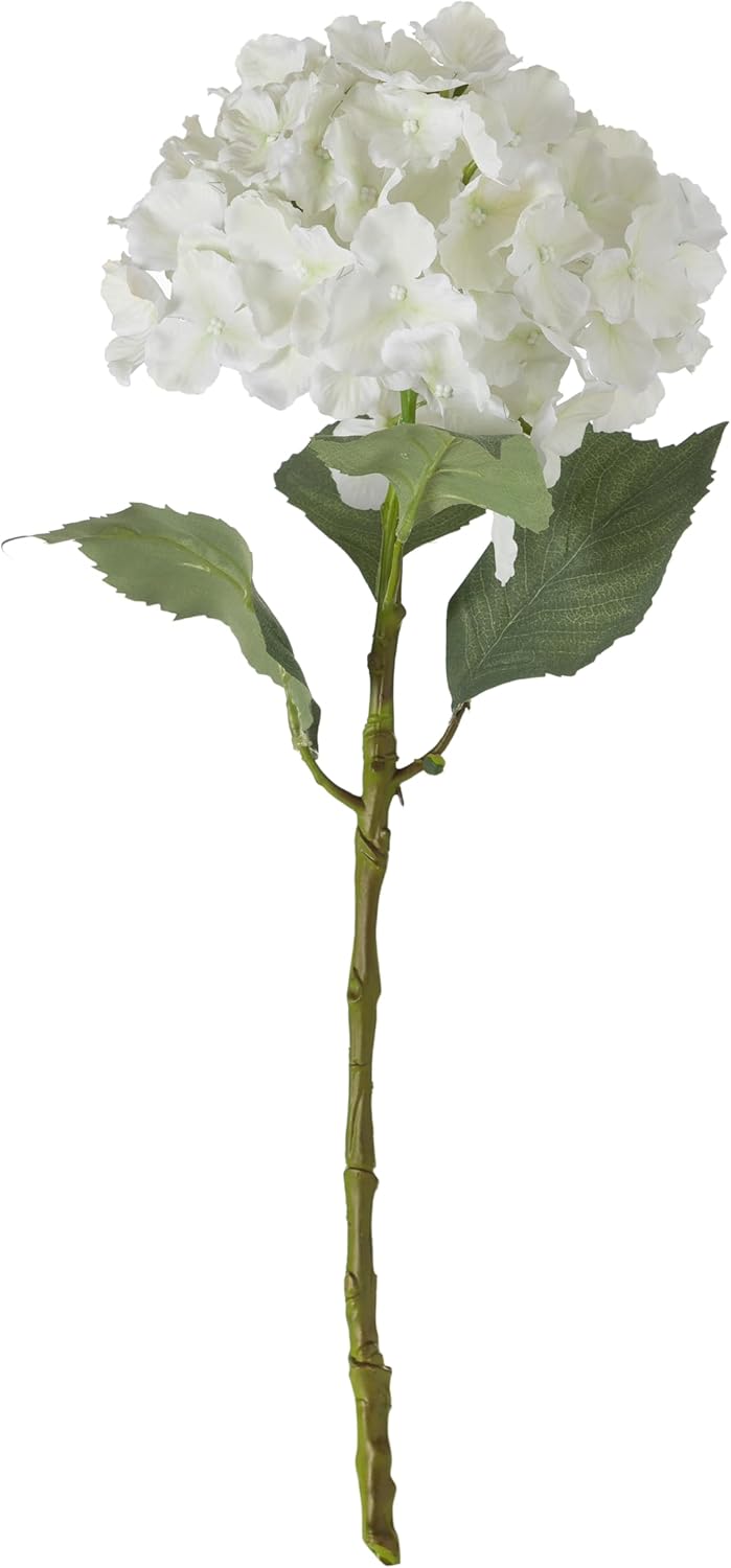 Alternative view of Ortanca Çiçek Beyaz 54cm