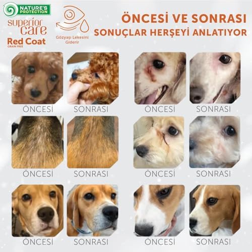 Alternative view of 's Protection Care Kızıl/Kahverengi Tüylü Köpekler İçin Tahılsız Kuzulu Küçük Irk Köpek Maması 1,5 Kg