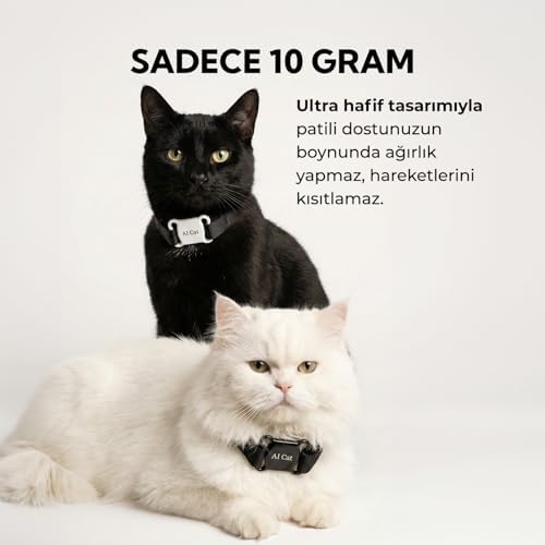 Alternative view of Köpek Tag Tasma,kedi Tag Hayvan Takipcihazı,pettasma Ios&androiduyumlu