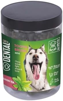 DENTAL SNACK GREEN TEA TOOTH BRUSH MINI ÖDÜL 200GR