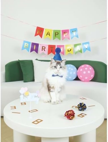 Alternative view of PARTY TIME ERKEK KEDİLER İÇİN DOĞUM GÜNÜ SETİ