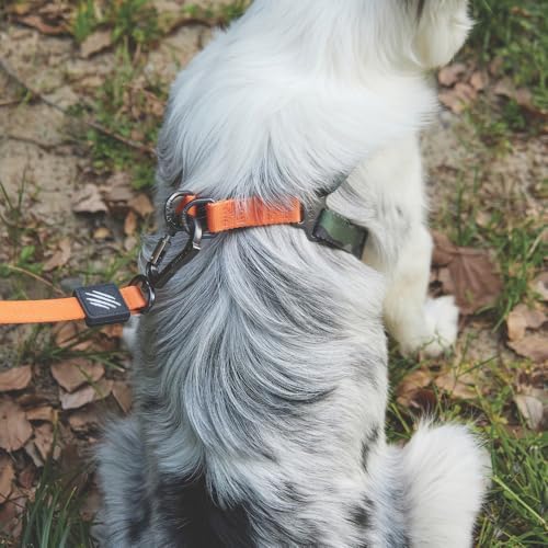 WILD JUNGLE HARNESS (S)