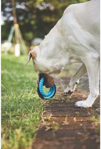 RING KING KÖPEK OYUNCAĞI DOUBLE BLUE/BLACK