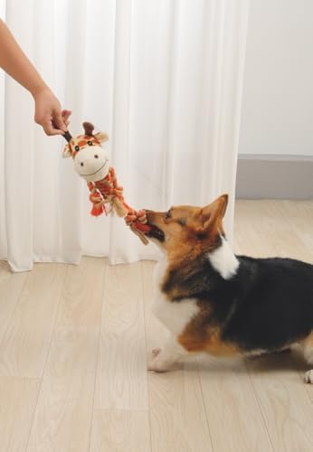 ZIA KÖPEK OYUNCAĞI