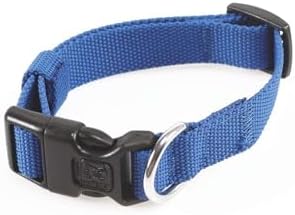 Alternative view of JOLLY KÖPEK BOYUN TASMASI BLUE (S)