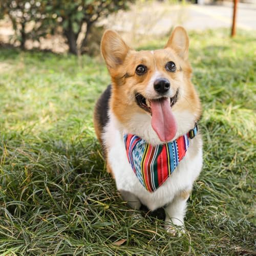 URBAN STYLE JAZZ STRIPES BANDANA COLLAR (XS)