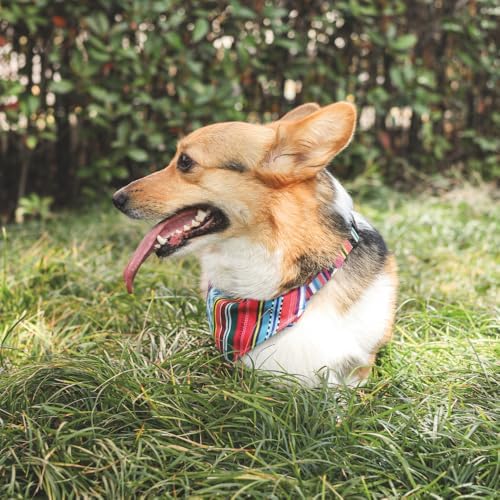 Alternative view of URBAN STYLE JAZZ STRIPES BANDANA COLLAR (XS)