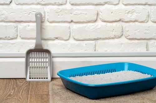 Bebek Pudrası Kokulu Topaklanan Koku Hapseden Tozsuz 10 Lt Kedi Kumu