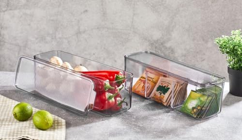 Mina Organizer Plastik Raf, Şeffaf Füme Kapaklı 750 Ml