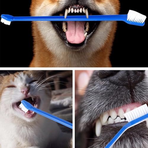 Alternative view of 4’lü Çift Taraflı Kedi ve Köpek Diş Fırçası Seti – Uzun Saplı, Ergonomik, Yumuşak Kıllı, Evcil Hayvan Ağız Bakım Fırçası, Silikon Kaymaz Gövde, Plak Temizliği için Uygun