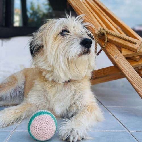 Pofuduk Top Köpek Ve Kedi Oyuncağı | Doğa Dostu Ve Pamuklu