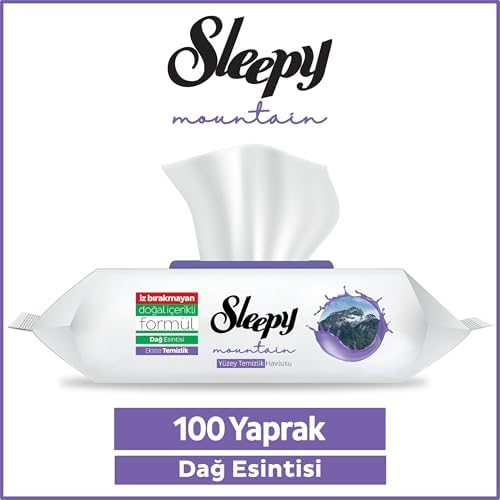 Mountain Yüzey Temizlik Havlusu&Mendili Dağ Esintisi 100 Yaprak