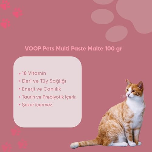 Alternative view of VOOP Multi Paste 100 gr Tamamlayıcı Yem