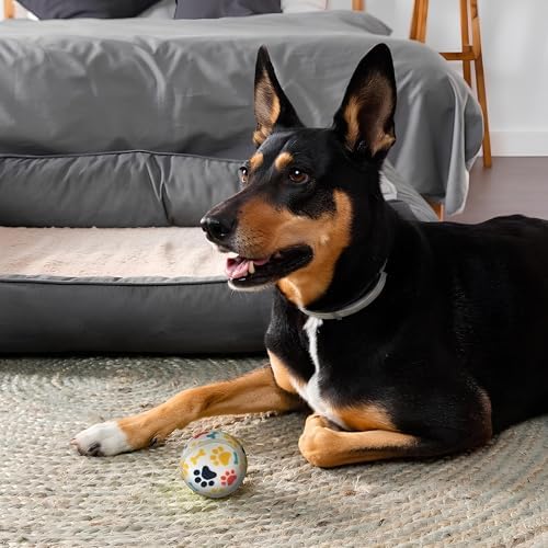 3'lü Kedi Köpek Tenis Topu | 6.5 cm Orta Boy Renkli Pati Desenli Dayanıklı Oyuncak | Diş Dostu, Suda, Eğitim ve Oyun Topu | Beyaz Zemin, İç-Dış Mekan Uygun