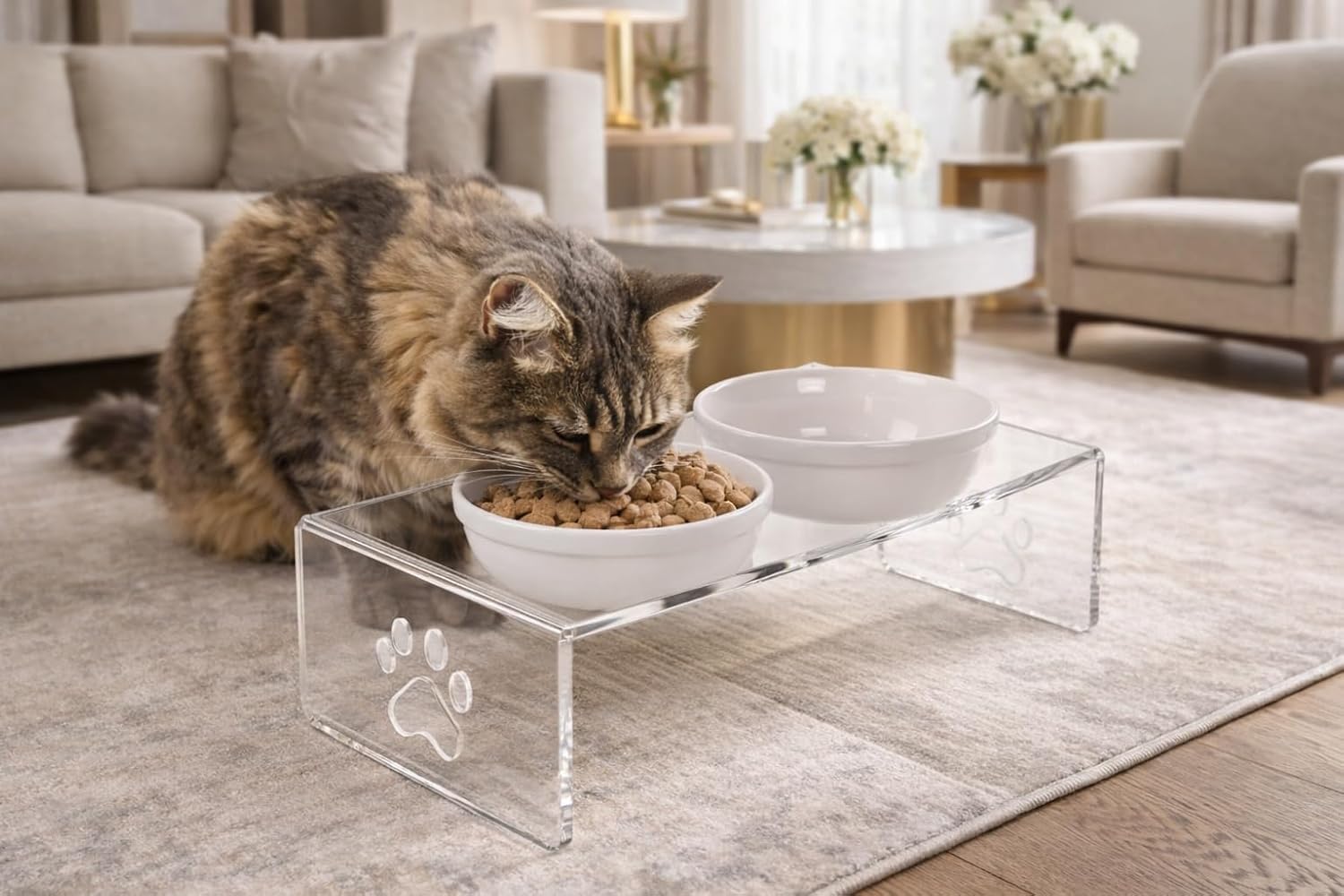 GOBYPET Pleksi Mama Kabı (Beyaz Seramik, Şeffaf Pleksi)