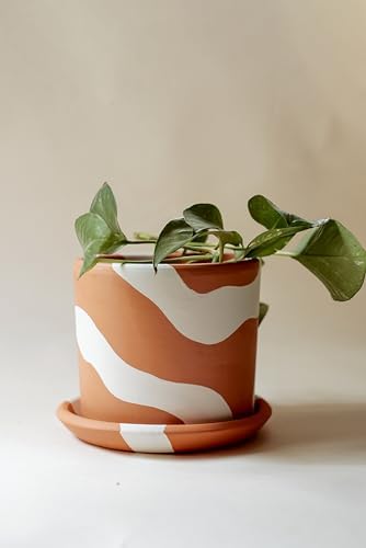 Alternative view of Terracotta Silindir Saksı+Tabak • Beyaz (Orta)