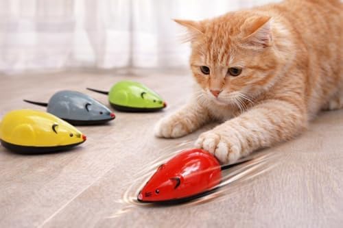Kedi Oyuncağı Çek Bırak Fare, Hareketli Kedi Oyuncağı, Kediler İçin Avcılık ve Takip Oyunu, Eğlenceli Interaktif Kedi Oyuncağı Renkli