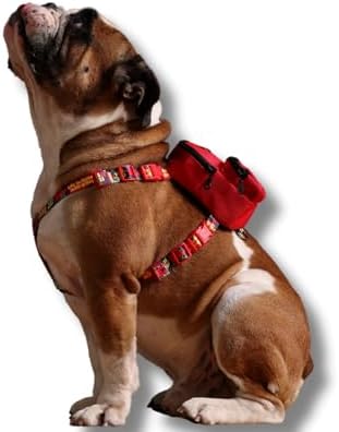 ,Çantalı Göğüs Tasması, Köpek Sırt Çantası – 2’si 1 Arada Göğüs Tasması Fonksiyonlu, Ayarlanabilir, Küçük & Büyük Irklar için,Kırmızı, Large, Recycled