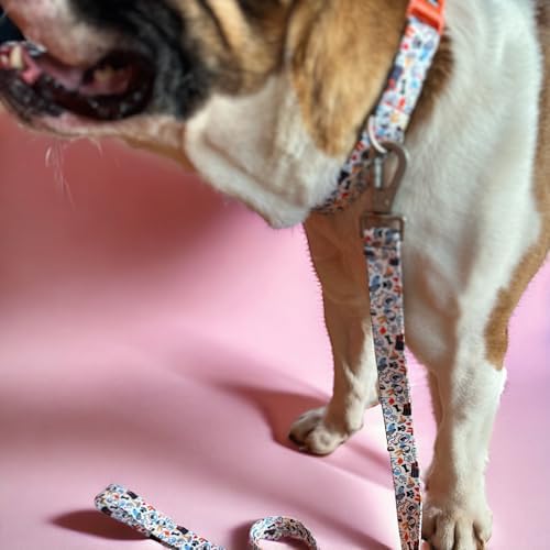 Alternative view of , Köpek Gezdirme Kayışı – Geri Dönüştürülmüş, Karabina Metal Kancalı, Yumuşak Dokulu, Emniyetli, Ayarlanabilir, Küçük ve Büyük Irklar için, Recycled Gezdirme Kayışı Large