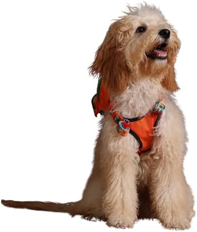 Alternative view of , Turuncu, Çantalı Göğüs Tasması, Köpek Sırt Çantası – 2’si 1 Arada Göğüs Tasması Fonksiyonlu, Ayarlanabilir, Küçük & Büyük Irklar için, Small