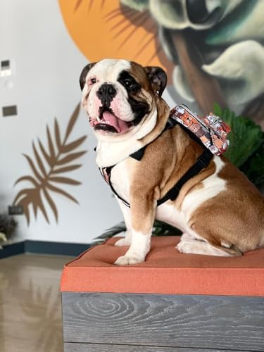 ,Çantalı Göğüs Tasması, Köpek Sırt Çantası – 2’si 1 Arada Göğüs Tasması Fonksiyonlu, Ayarlanabilir, Küçük & Büyük Irklar için,Paws, Small