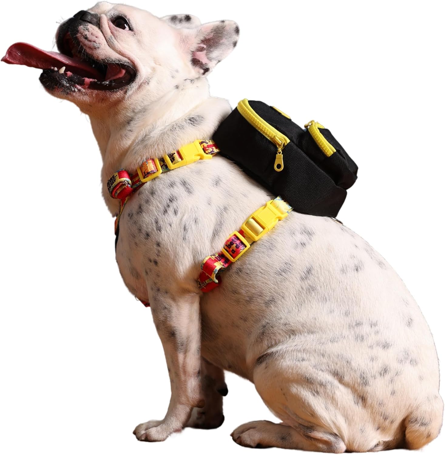 , Gimme Siyah,Çantalı Göğüs Tasması, Köpek Sırt Çantası – 2’si 1 Arada Göğüs Tasması Fonksiyonlu, Ayarlanabilir, Küçük & Büyük Irklar için Small,