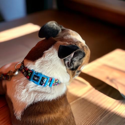 Köpek Boyun Tasması – Geri Dönüştürülmüş, Ayarlanabilir, Emniyet Tokalı – Küçük ve Büyük Irklar için – Tüy Toplamaz, Yıkanabilir, AirTag & İsimlik Uyumlu, Renkli Pati, Large