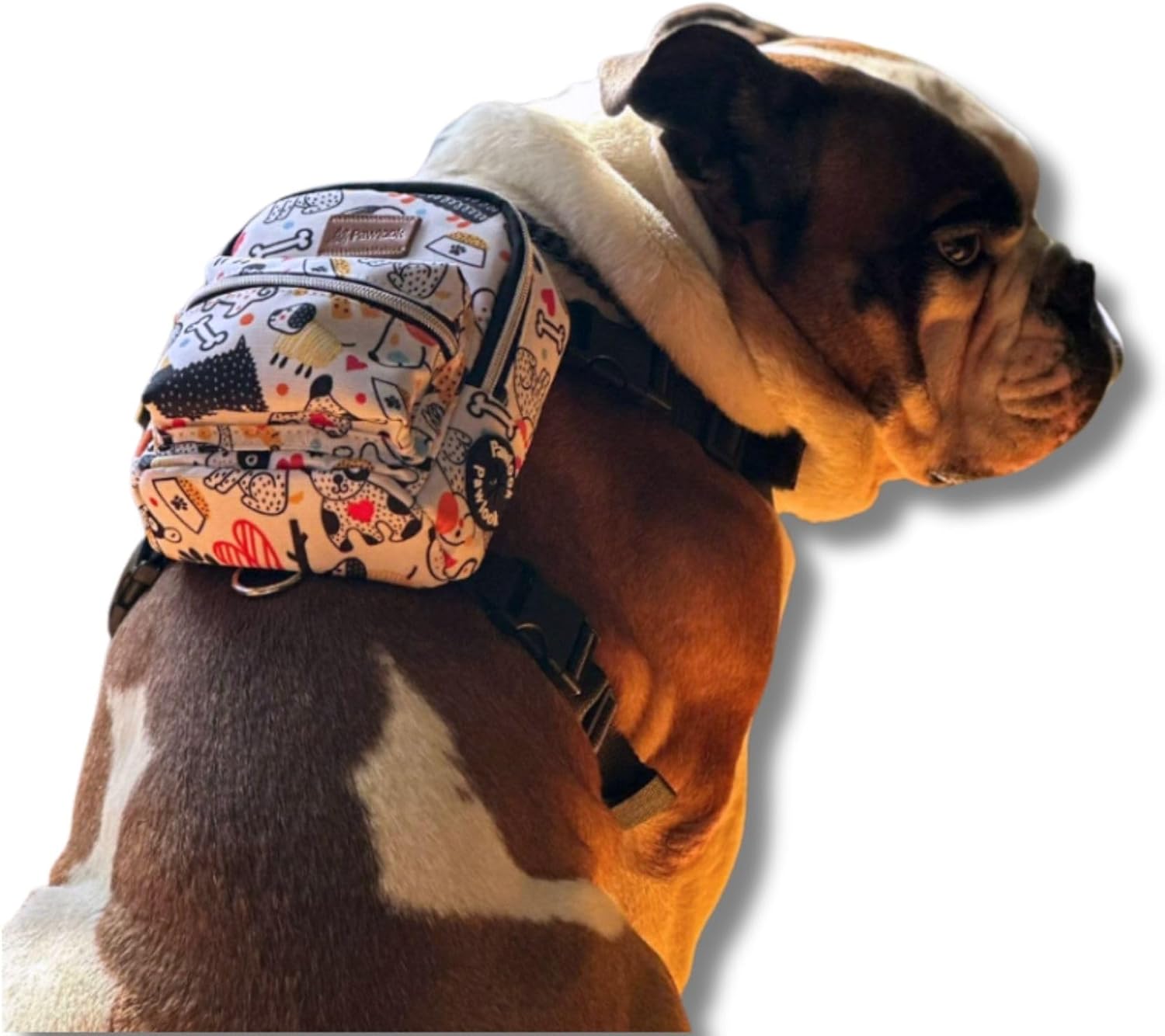 ,Çantalı Göğüs Tasması, Köpek Sırt Çantası – 2’si 1 Arada Göğüs Tasması Fonksiyonlu, Ayarlanabilir, Küçük & Büyük Irklar için, Whitebone,Large
