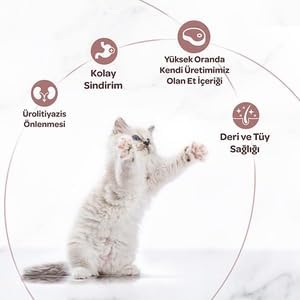 Alternative view of Kitten Gravy Tavuk Etli Yavru Kedi Yaş Maması 80 Gr x 24 Adet