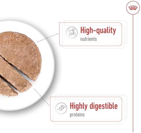 Canin Maxi Yetişkin Konserve Maması (410G X 12 Adet)