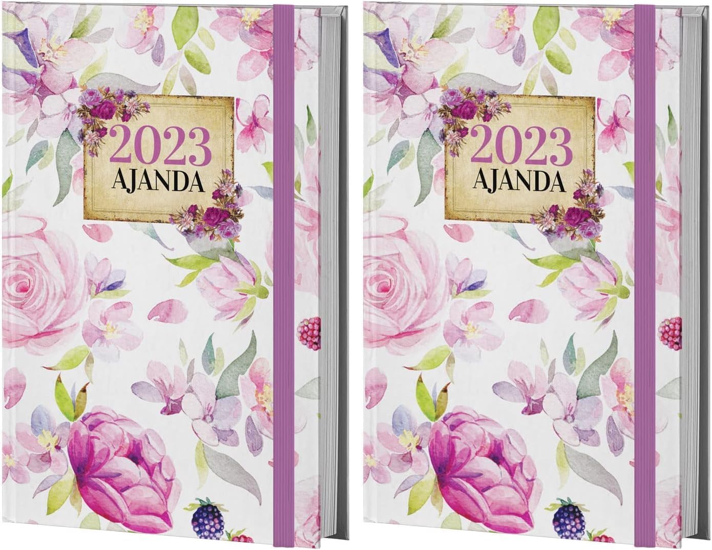 Halk Kitabevi Mor Kelebek Eflatun Düşler 2023 Ajanda, 128 Sayfa, Ciltli, 13.5x21cm 2li paket
