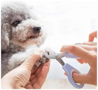 Kedi Tırnak Makası Çelik Ergonomik Tutuş Evcil Hayvan Köpek Tırnak Makası (Garantili)