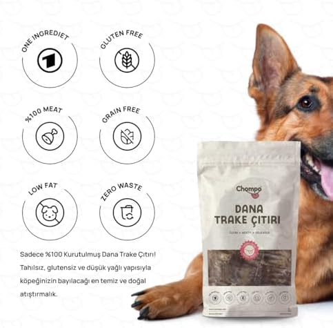 Chompo Dana Trake Çıtırı 100% Doğal Katkısız Köpek Ödül Maması 100 Gr