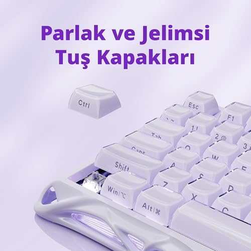 Mercury V75 HE Klavye - Manyetik Anahtarlı Oyun Klavyesi, 8000 Hz Yoklama, 0.005RT, Kablolu USB-C, RGB Arkadan Aydınlatmalı, Ayarlanabilir Çalıştırma, Yarı Alüminyum Kasa - Lavanta Moru