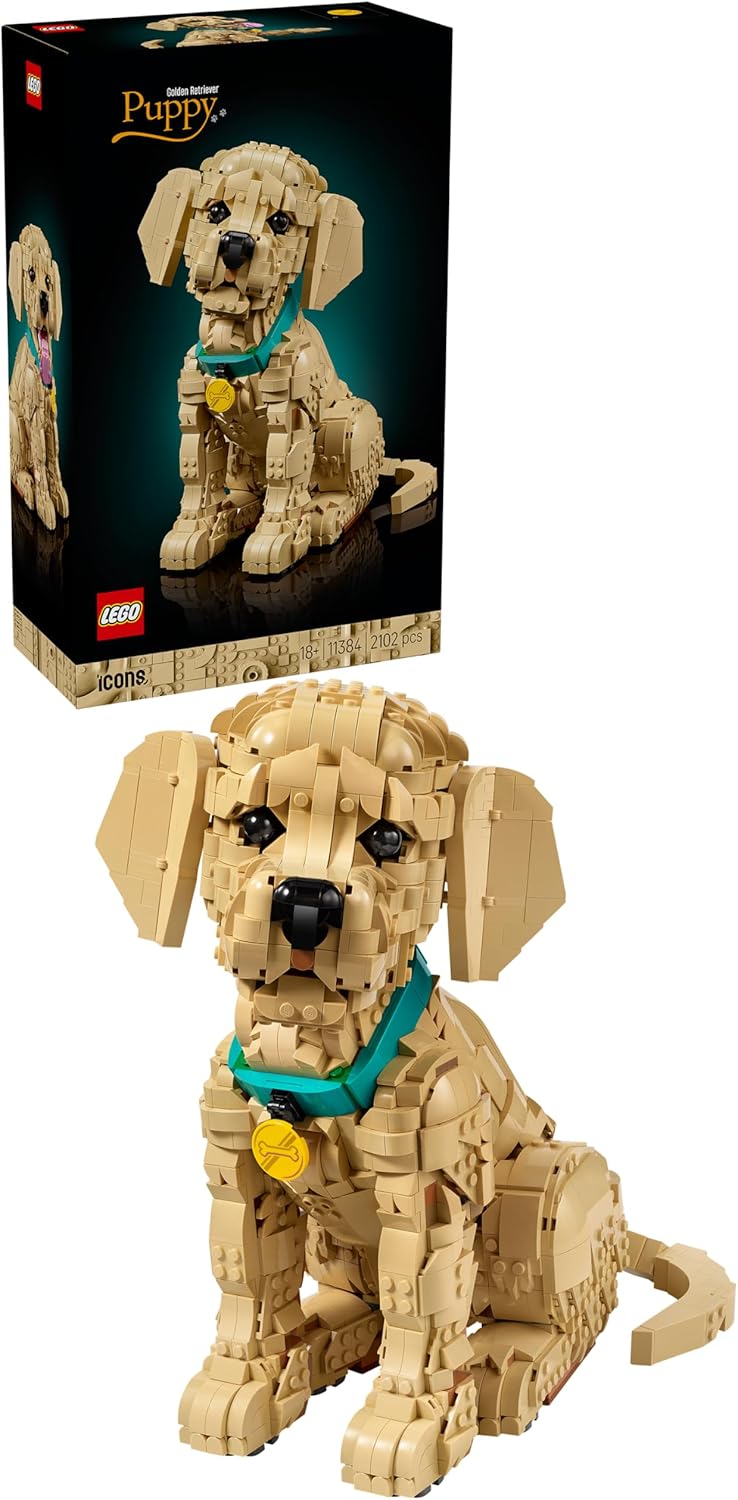 11384 Yavru Retriever