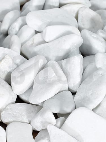 Natural Beyaz Dolomit Dekoratif Çakıl Taşı, İç ve Dış Mekan Peyzaj için, 2-4 cm, 1 kg, Bahçe Saksı Süsü