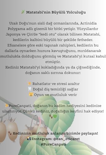 PureCanpati%100 Doğal Matatabi Çubukları – Kediler İçin Catnip Alternatifi, Azaltıcı & Diş Temizleyici Çiğneme Oyuncağı (3’lü Paket)