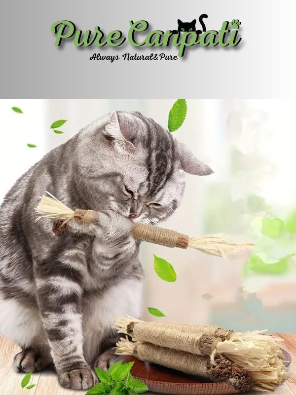 Alternative view of PureCanpati%100 Doğal Matatabi Çubukları – Kediler İçin Catnip Alternatifi, Azaltıcı & Diş Temizleyici Çiğneme Oyuncağı (3’lü Paket)