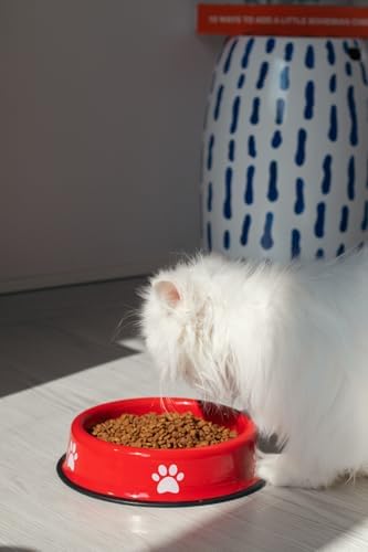 Alternative view of Kedi Köpek Mama Ve Su Kabı Pati Desen,Flame